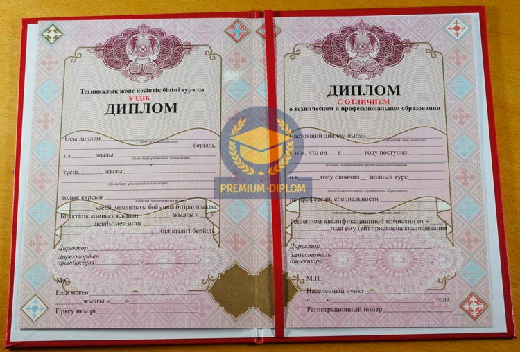 Техникум 2009-2026 с отличием (Казахстан) - фото