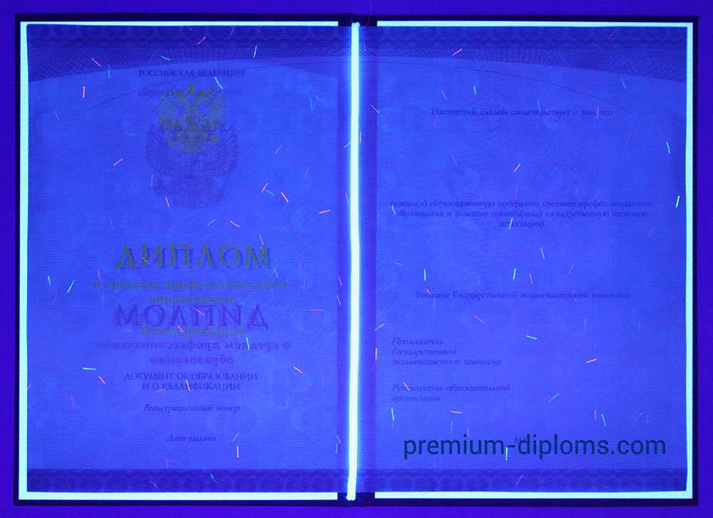 Диплом техникума - колледжа 2014-2026 год фото